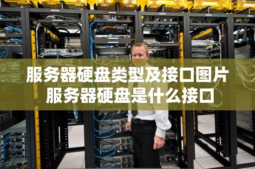 服务器硬盘类型及接口图片 服务器硬盘是什么接口