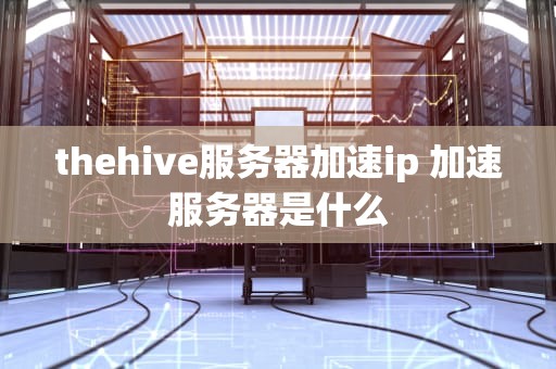 thehive服务器加速ip 加速服务器是什么