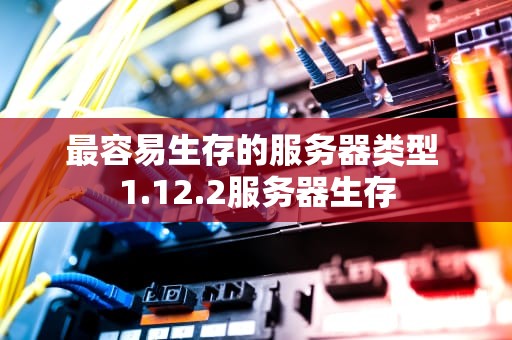 最容易生存的服务器类型 1.12.2服务器生存