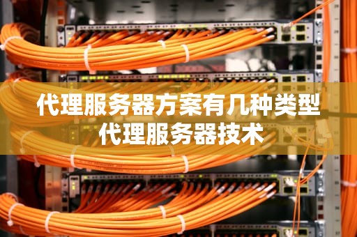 代理服务器方案有几种类型 代理服务器技术