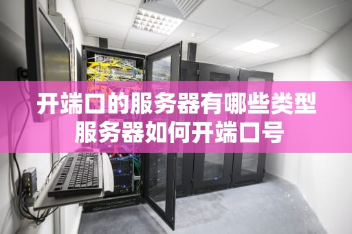 开端口的服务器有哪些类型 服务器如何开端口号