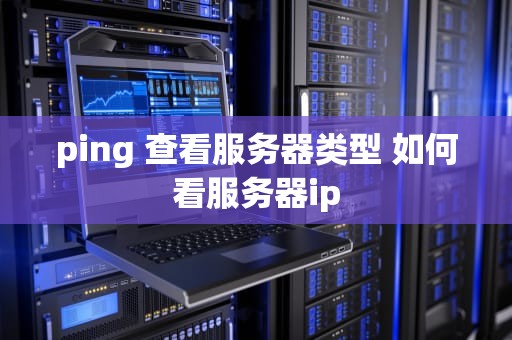 ping 查看服务器类型 如何看服务器ip