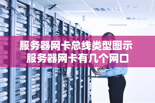 服务器网卡总线类型图示 服务器网卡有几个网口