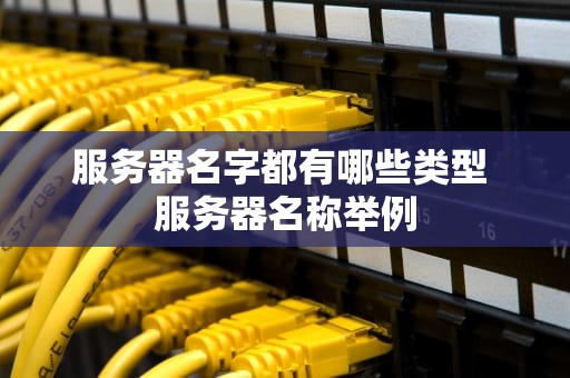 服务器名字都有哪些类型 服务器名称举例