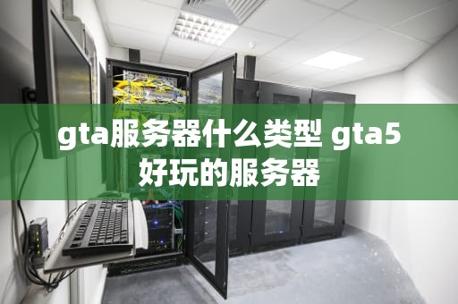 gta服务器什么类型 gta5好玩的服务器