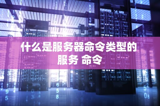 什么是服务器命令类型的 服务 命令
