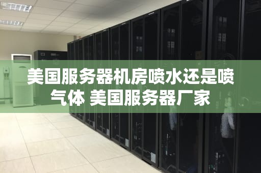 美国服务器机房喷水还是喷气体 美国服务器厂家