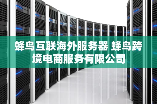 蜂鸟互联海外服务器 蜂鸟跨境电商服务有限公司
