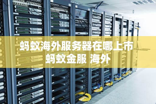 蚂蚁海外服务器在哪上市 蚂蚁金服 海外