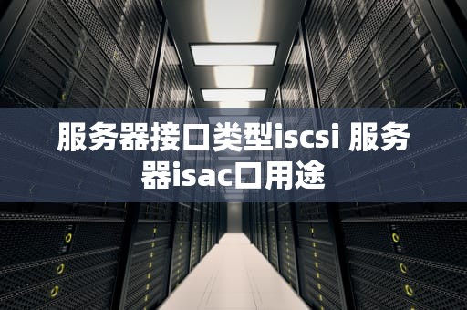 服务器接口类型iscsi 服务器isac口用途