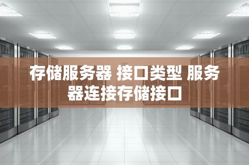存储服务器 接口类型 服务器连接存储接口