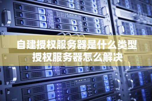 自建授权服务器是什么类型 授权服务器怎么解决