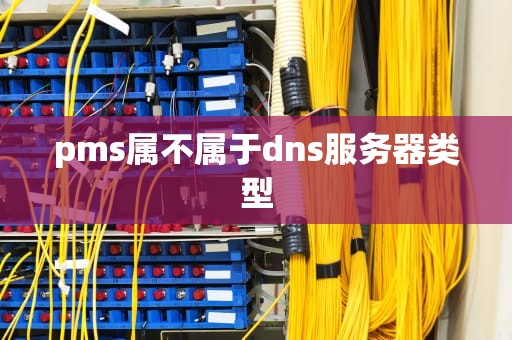 pms属不属于dns服务器类型