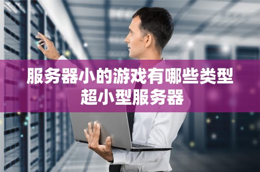 服务器小的游戏有哪些类型 超小型服务器