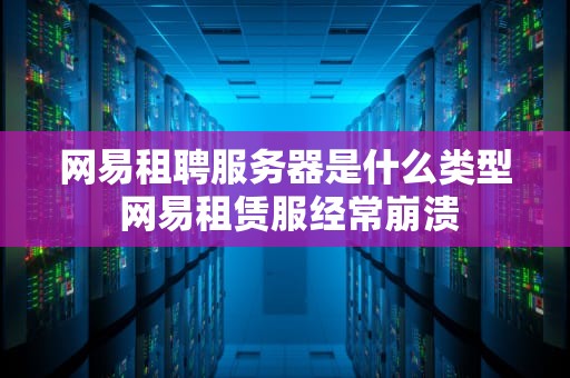 网易租聘服务器是什么类型 网易租赁服经常崩溃