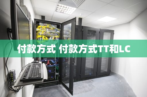 付款方式 付款方式TT和LC