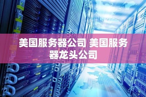 美国服务器公司 美国服务器龙头公司