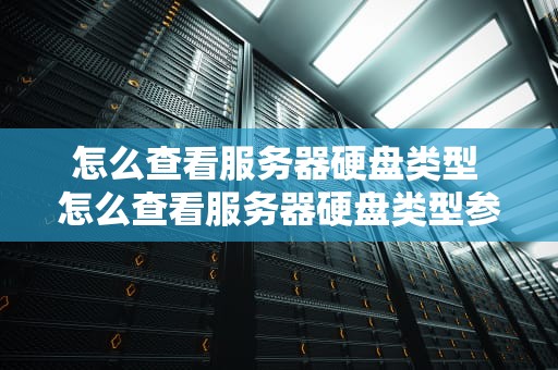 怎么查看服务器硬盘类型 怎么查看服务器硬盘类型参数