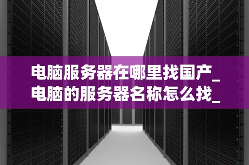 电脑服务器在哪里找国产_电脑的服务器名称怎么找_寻找国产电脑服务器的全面指南