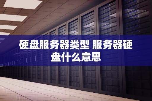硬盘服务器类型 服务器硬盘什么意思