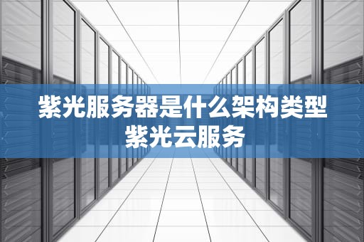 紫光服务器是什么架构类型 紫光云服务