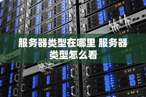 服务器类型在哪里 服务器类型怎么看