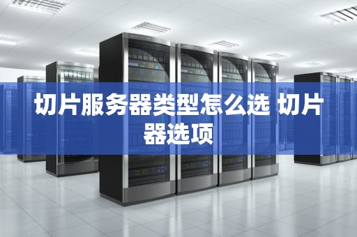 切片服务器类型怎么选 切片器选项