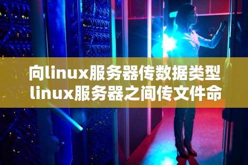 向linux服务器传数据类型 linux服务器之间传文件命令