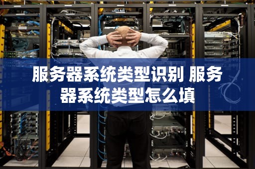 服务器系统类型识别 服务器系统类型怎么填