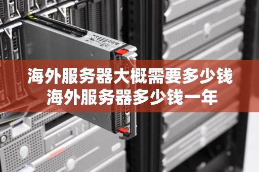 海外服务器大概需要多少钱 海外服务器多少钱一年