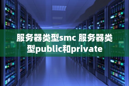 服务器类型smc 服务器类型public和private