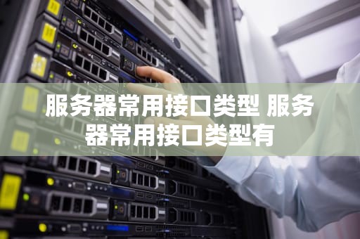 服务器常用接口类型 服务器常用接口类型有