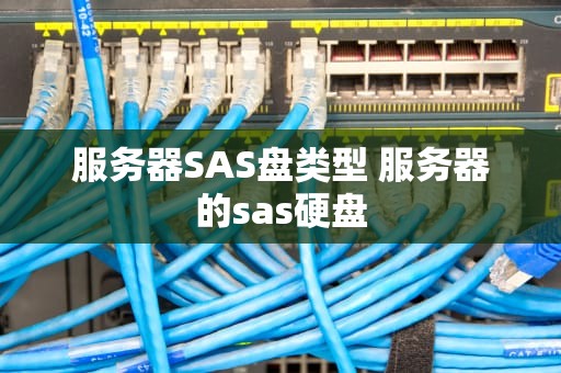 服务器SAS盘类型 服务器的sas硬盘
