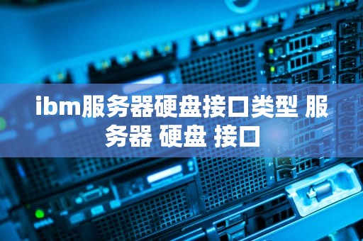ibm服务器硬盘接口类型 服务器 硬盘 接口