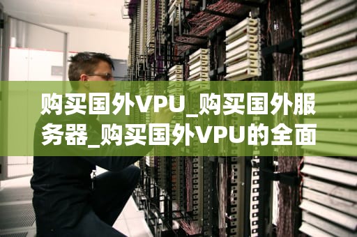 购买国外VPU_购买国外服务器_购买国外VPU的全面指南