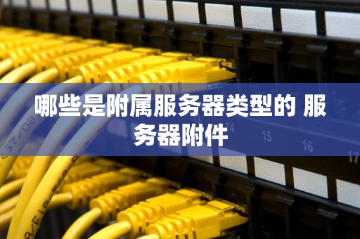 哪些是附属服务器类型的 服务器附件