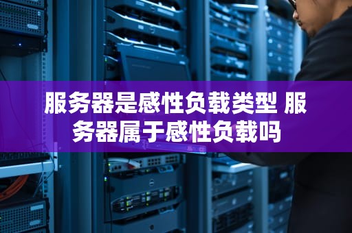 服务器是感性负载类型 服务器属于感性负载吗