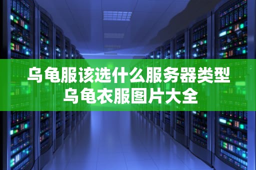 乌龟服该选什么服务器类型 乌龟衣服图片大全