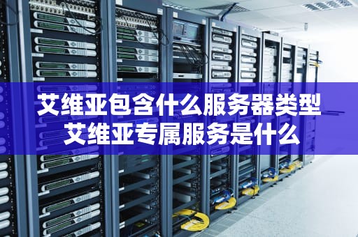 艾维亚包含什么服务器类型 艾维亚专属服务是什么