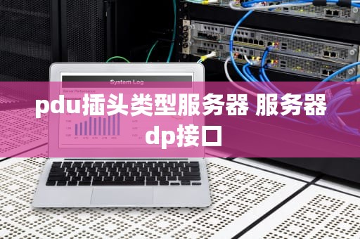 pdu插头类型服务器 服务器 dp接口
