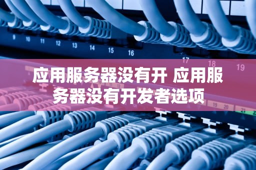 应用服务器没有开 应用服务器没有开发者选项