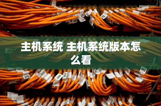 主机系统 主机系统版本怎么看