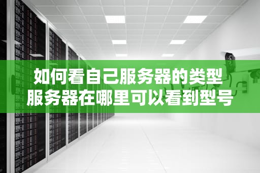 如何看自己服务器的类型 服务器在哪里可以看到型号