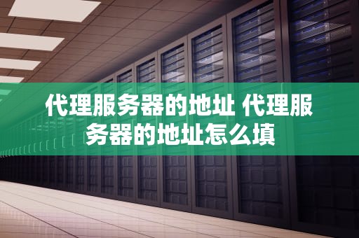 代理服务器的地址 代理服务器的地址怎么填
