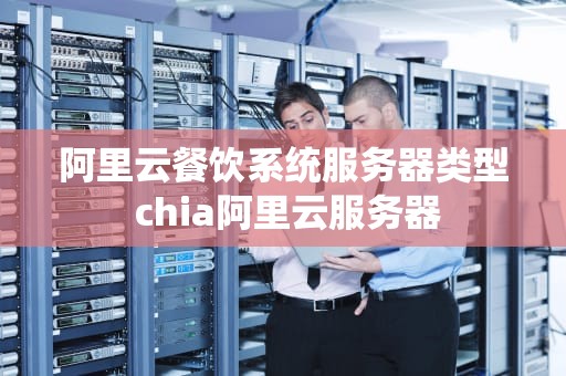 阿里云餐饮系统服务器类型 chia阿里云服务器
