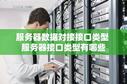 服务器数据对接接口类型 服务器接口类型有哪些