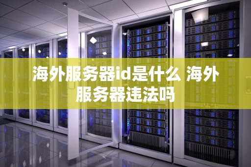 海外服务器id是什么 海外服务器违法吗