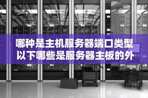 哪种是主机服务器端口类型 以下哪些是服务器主板的外部接口？