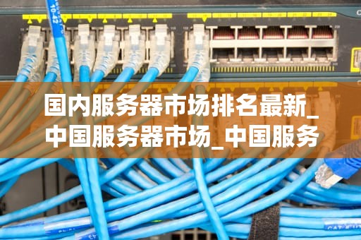国内服务器市场排名最新_中国服务器市场_中国服务器市场的最新排名与发展趋势