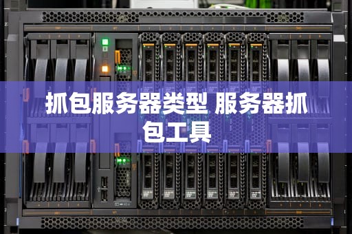 抓包服务器类型 服务器抓包工具